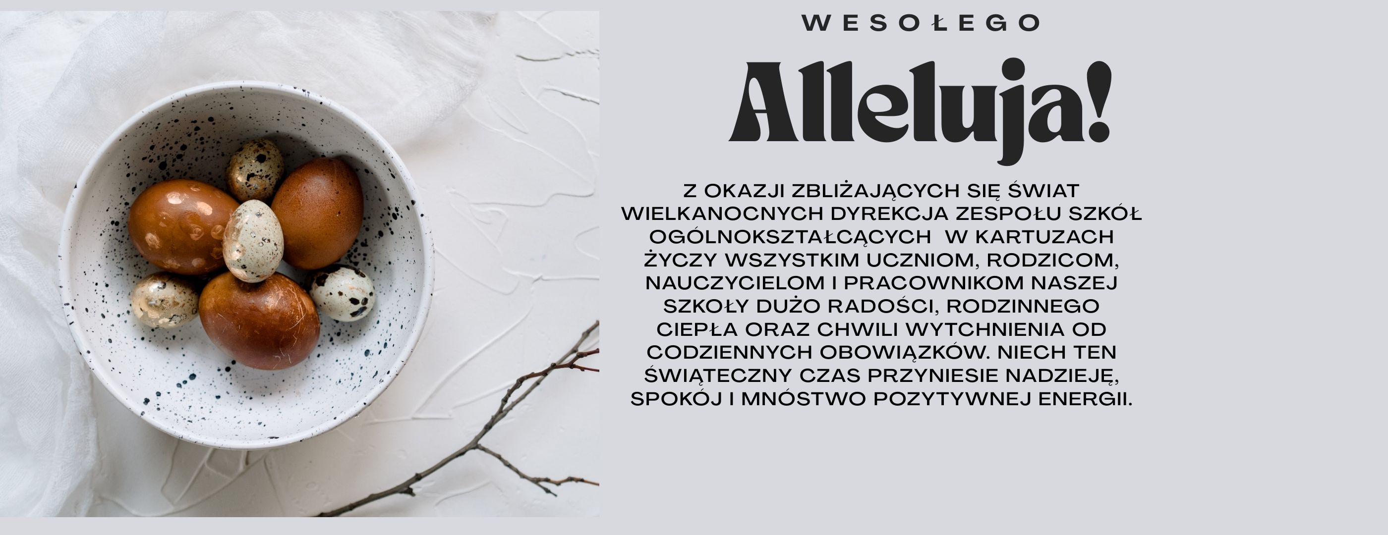 ZYCZENIAhh